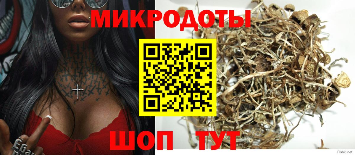 наркота  Галлюциногенные грибы MAGIC MUSHROOMS  Вход с VPN  Ялта  Псилоцибиновые грибы Psilocybine cubensis 