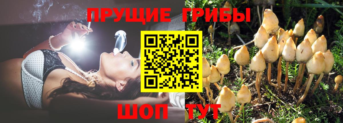 Галлюциногенные грибы Cubensis Ялта